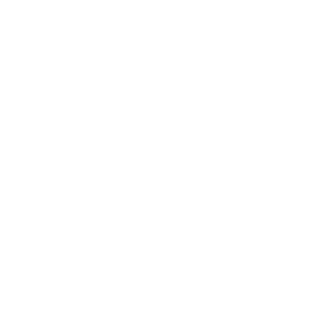 Break the Rules Festival